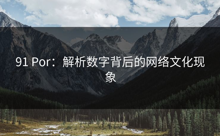 91 Por：解析数字背后的网络文化现象  第1张