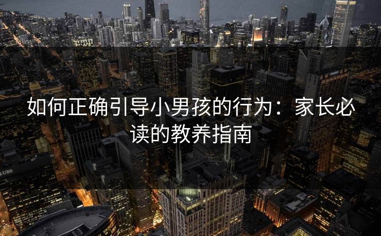 如何正确引导小男孩的行为：家长必读的教养指南  第1张