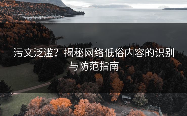 污文泛滥？揭秘网络低俗内容的识别与防范指南  第1张