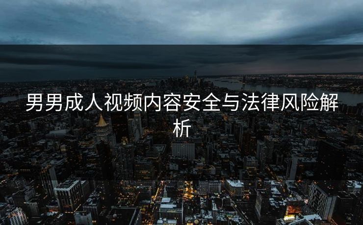 男男成人视频内容安全与法律风险解析  第1张
