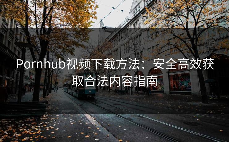 Pornhub视频下载方法：安全高效获取合法内容指南