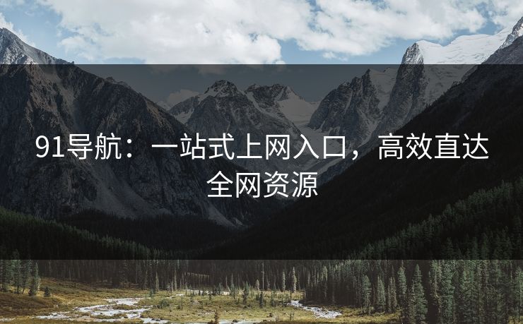 91导航：一站式上网入口，高效直达全网资源  第1张