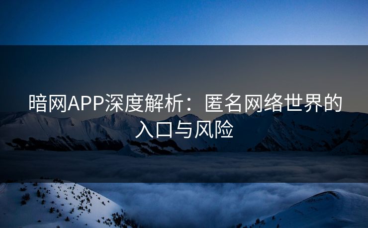 暗网APP深度解析：匿名网络世界的入口与风险