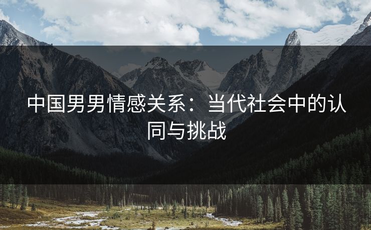 中国男男情感关系：当代社会中的认同与挑战
