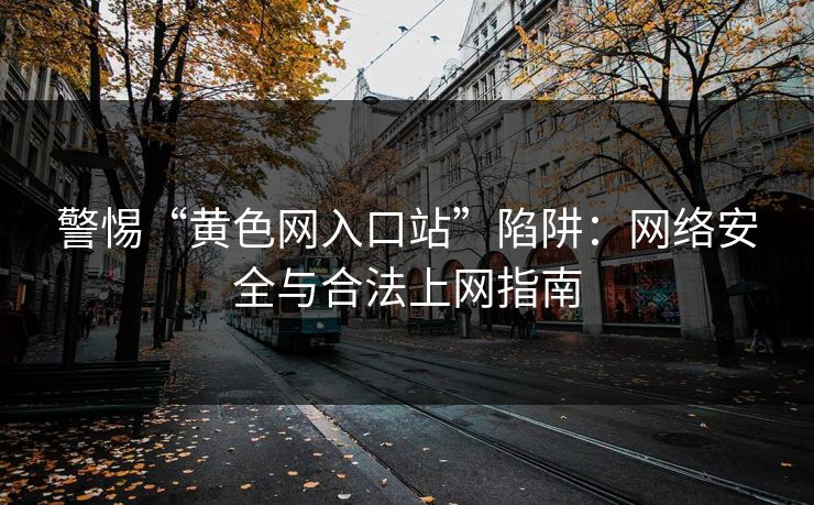 警惕“黄色网入口站”陷阱：网络安全与合法上网指南
