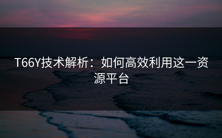 T66Y技术解析：如何高效利用这一资源平台  第1张